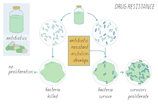 Experimental Drug CS18 Disables Tumor Defenses to Restore Cancer Drug Sensitivity Experimental Drug CS18 Disables Tumor Defenses to Restore Cancer Drug Sensitivity