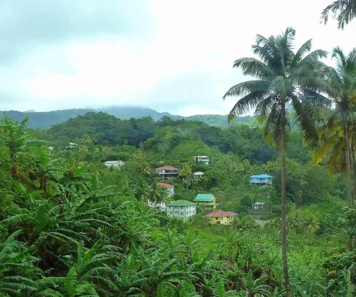 DGDC to Begin Trenching for 69kV Underground Powerline in Laudat