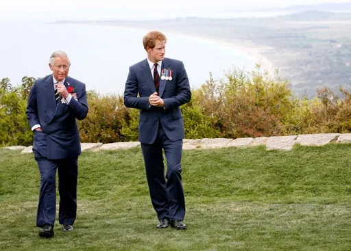 Harry e re Carlo tornano a parlarsi, gelo con William Harry e re Carlo tornano a parlarsi, gelo con William