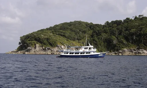 Dominica Dive Operator Seeks Certified Dive Master, Instructor and Boat Crew Dominica Dive Operator Seeks Certified Dive Master, Instructor and Boat Crew