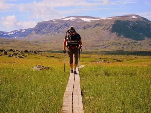 Vandring med renar på Kungsleden i svenska Lappland