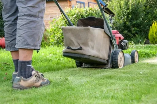 Sista gräsklippningen före vintern avgör gräsmattans vår