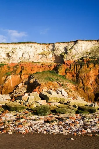 Climate Losses Go Beyond Property and Income, Researchers Warn Climate Losses Go Beyond Property and Income, Researchers Warn