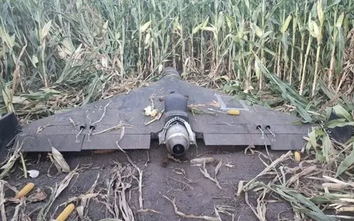 Ранкова атака дронів на Фастівщині: поранено п'ятьох людей, серед них троє дітей Ранкова атака дронів на Фастівщині: поранено п'ятьох людей, серед них троє дітей