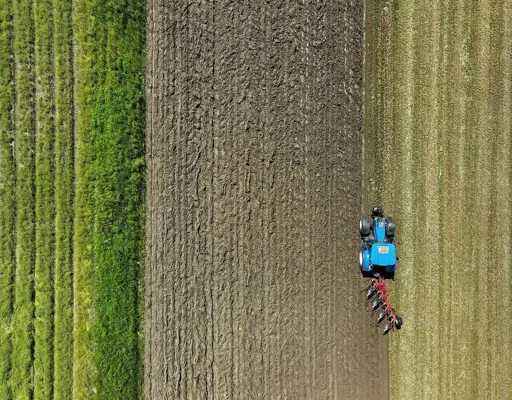 IICA Warns Technology Adoption Gap Threatens Agriculture Gains IICA Warns Technology Adoption Gap Threatens Agriculture Gains