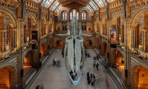 La Academia de Ciencias Naturales de Filadelfia, el museo más antiguo de América, cumple más de dos siglos La Academia de Ciencias Naturales de Filadelfia, el museo más antiguo de América, cumple más de dos siglos