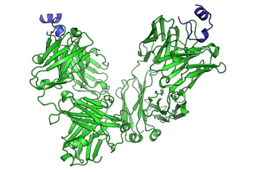 Multimodal Biomarkers Improve Prediction of Immunotherapy Response Multimodal Biomarkers Improve Prediction of Immunotherapy Response