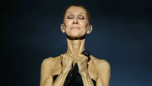 Céline Dion regresa a los escenarios en París tras seis años y su diagnóstico de síndrome de persona rígida Céline Dion regresa a los escenarios en París tras seis años y su diagnóstico de síndrome de persona rígida
